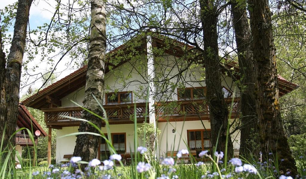 Ferienhaeuser "In Der Waldperle" 比斯科夫斯麦斯 外观 照片